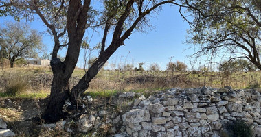 Land For Sale In Vasa Koilaniou Limassol Cyprus