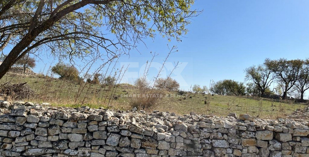 Land For Sale In Vasa Koilaniou Limassol Cyprus