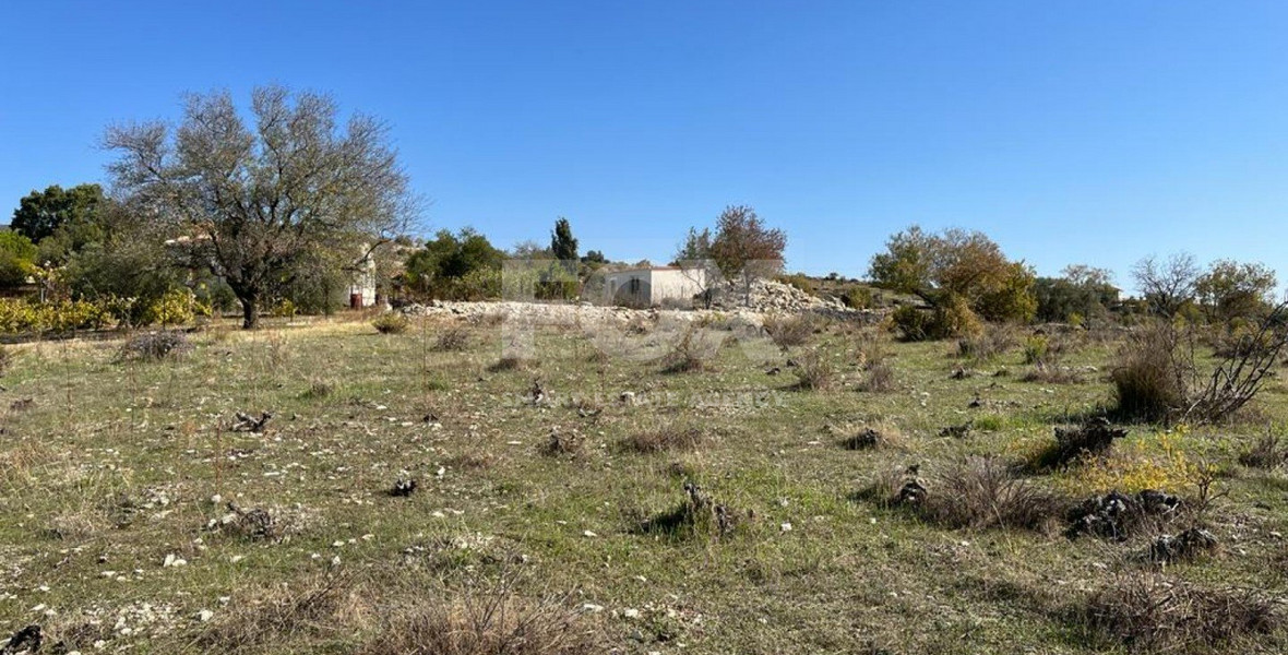 Land For Sale In Vasa Koilaniou Limassol Cyprus