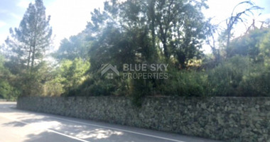 Land For Sale In Kato Platres Limassol