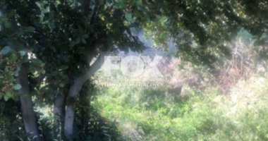 Land For Sale In Pano Platres Limassol Cyprus