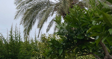 3 Bed House To Rent In Coral Bay Paphos Cyprus