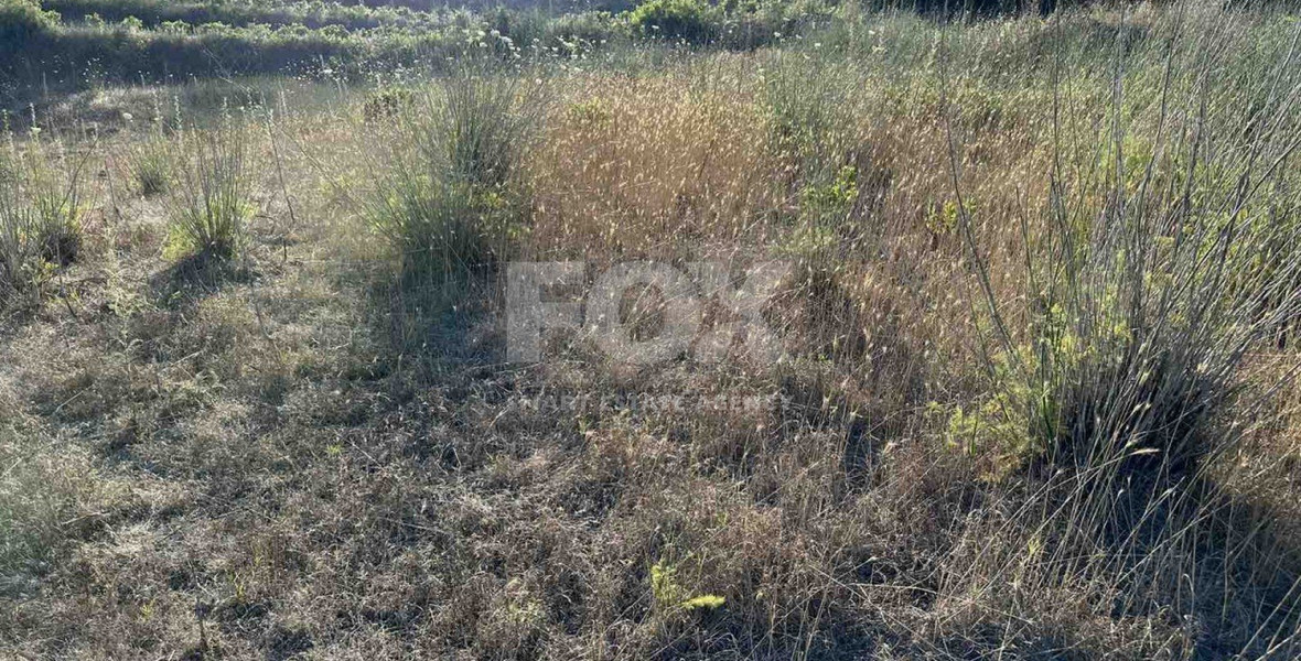 Land For Sale In Kallepeia Paphos Cyprus