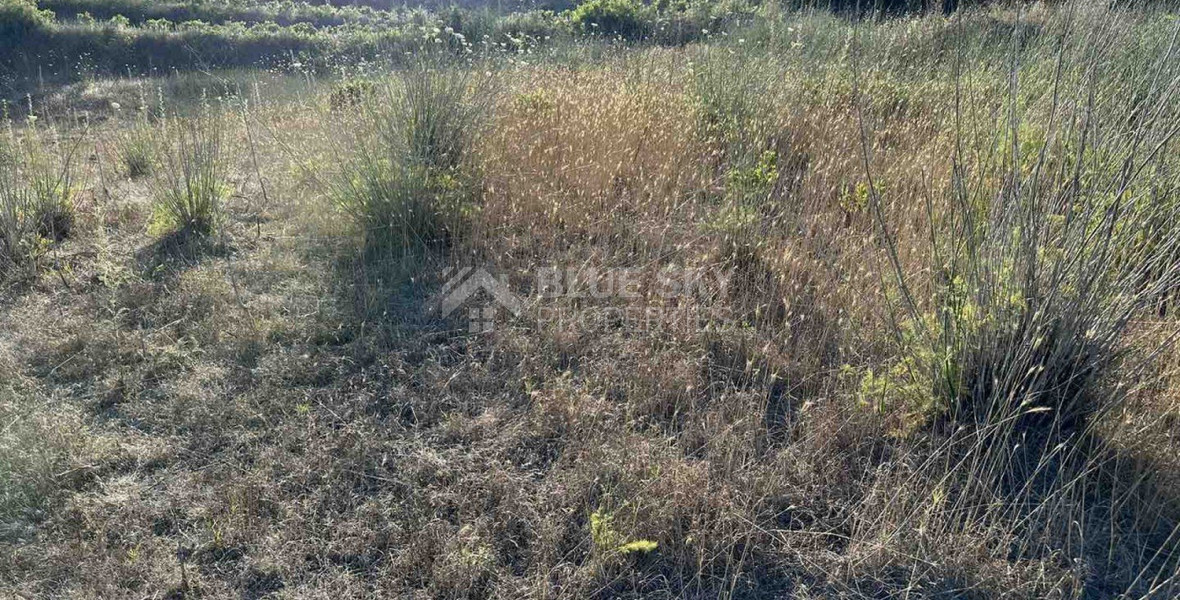 Land For Sale In Kallepeia Paphos Cyprus