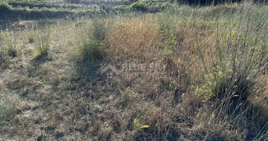 Land For Sale In Kallepeia Paphos Cyprus