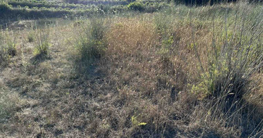 Land For Sale In Kallepeia Paphos Cyprus