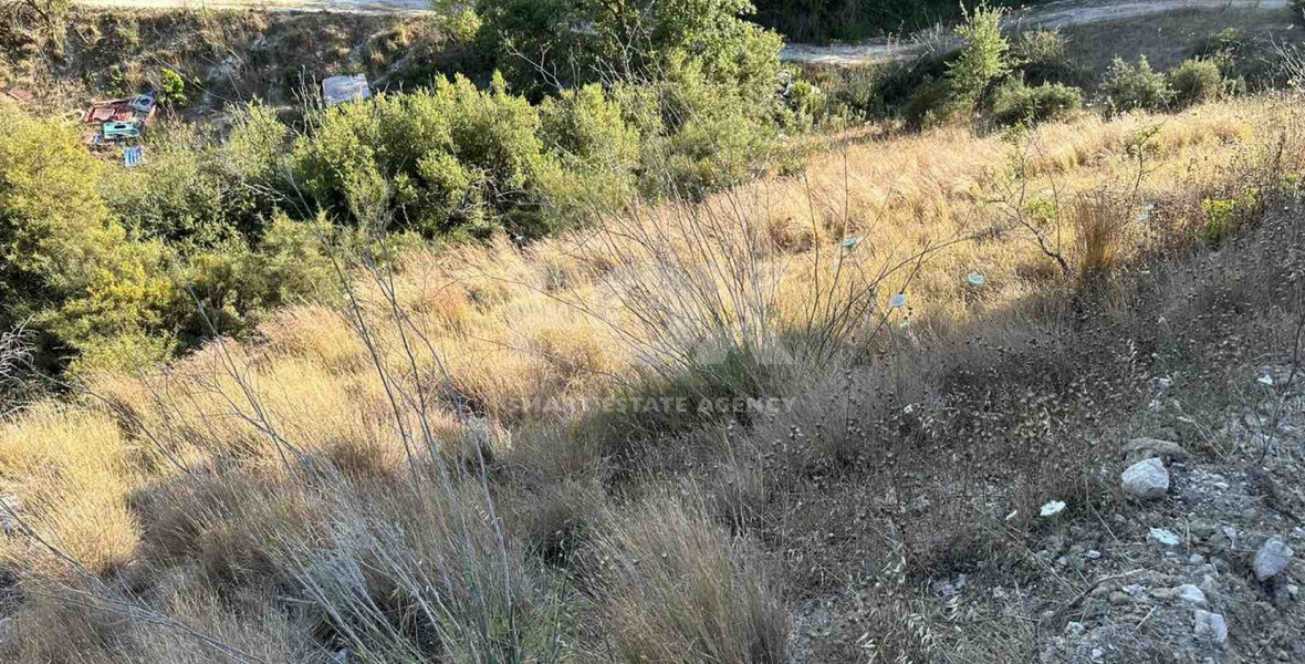 Land For Sale In Kallepeia Paphos Cyprus