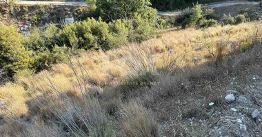 Land For Sale In Kallepeia Paphos Cyprus