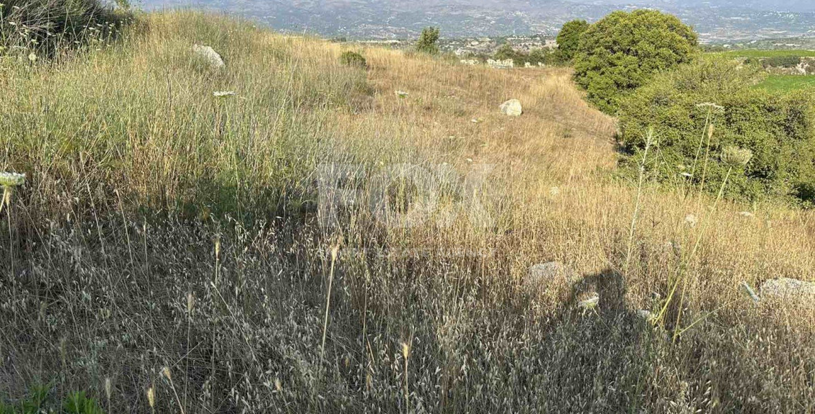 Land For Sale In Kallepeia Paphos Cyprus