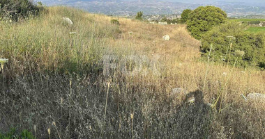 Land For Sale In Kallepeia Paphos Cyprus