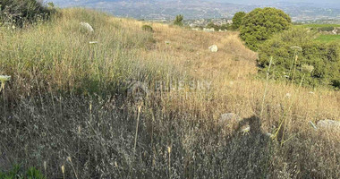 Land For Sale In Kallepeia Paphos Cyprus