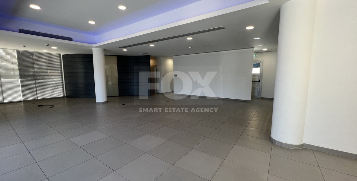 Fantastic Commercial Building For Sale In Zakaki Limassol Cyprus