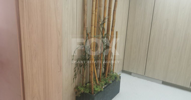 Nice office To Rent In Mesa Gitonia Limassol Cyprus