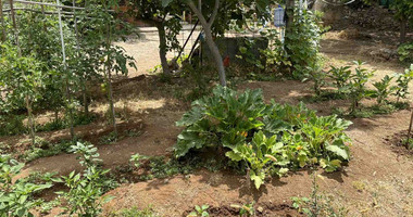 2 Bed House For Sale In Konia Paphos Cyprus