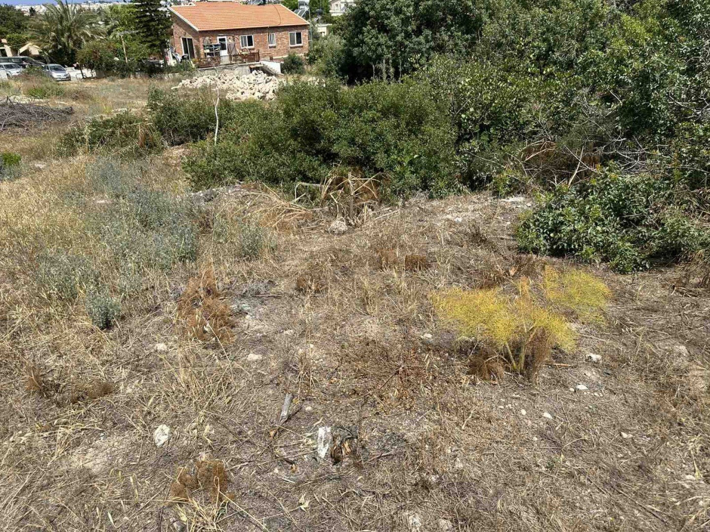 Parcelas  Konia, Chipre