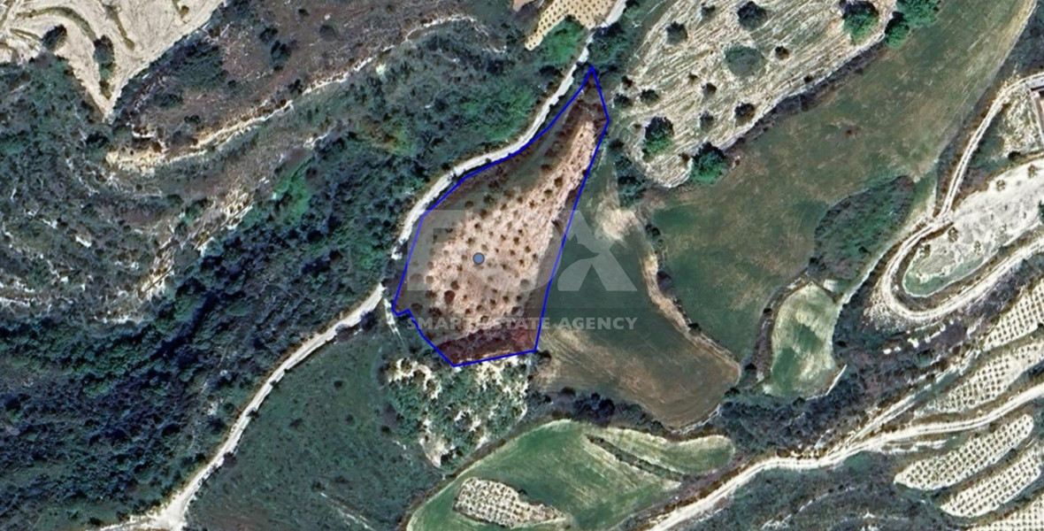 Land For Sale In Koili Paphos Cyprus