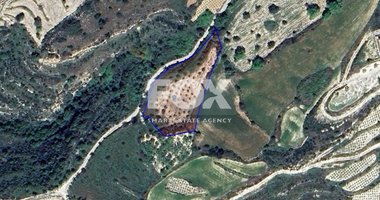 Land For Sale In Koili Paphos Cyprus