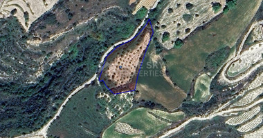 Land For Sale In Koili Paphos Cyprus