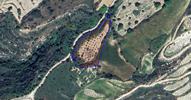 Land For Sale In Koili Paphos Cyprus