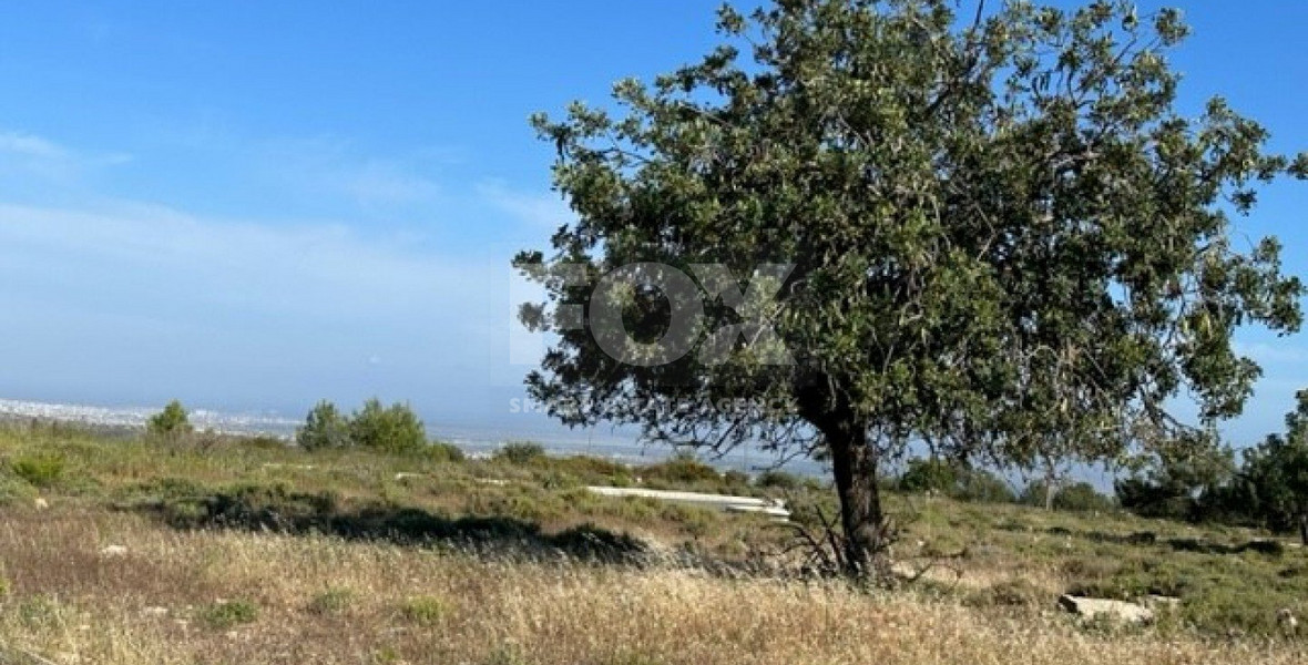 Land For Sale In Souni Zanakia Limassol Cyprus