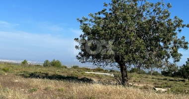 Land For Sale In Souni Zanakia Limassol Cyprus