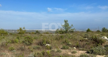 Land For Sale In Souni Zanakia Limassol Cyprus