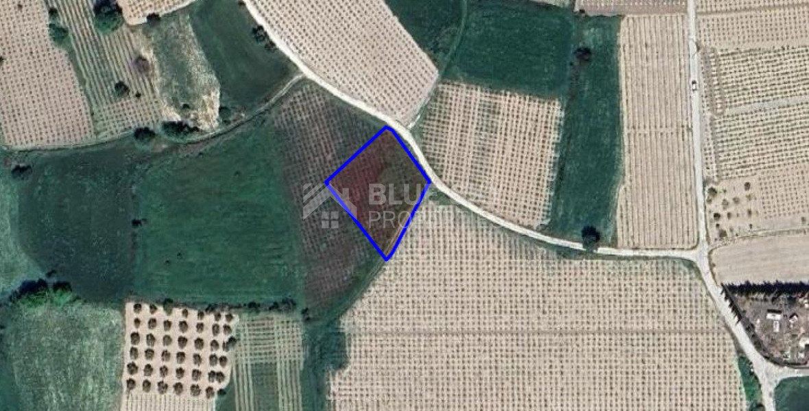 Land For Sale In Polemi Paphos Cyprus