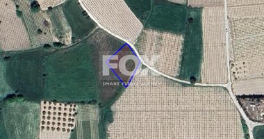 Land For Sale In Polemi Paphos Cyprus