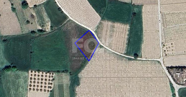 Land For Sale In Polemi Paphos Cyprus