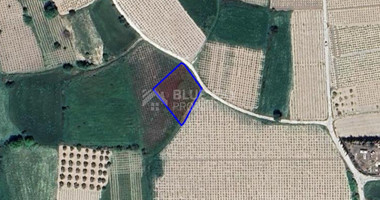 Land For Sale In Polemi Paphos Cyprus