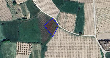 Land For Sale In Polemi Paphos Cyprus