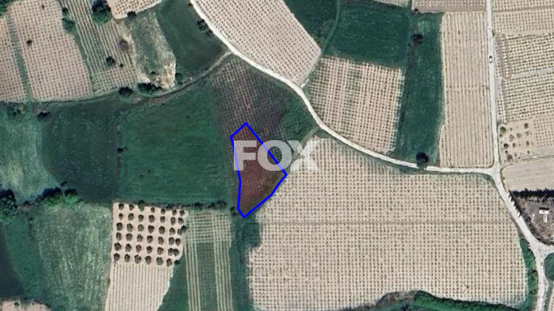 Οικόπεδο προς πώληση 4225 μ² στην τοποθεσία Polemi, Paphos, Cyprus