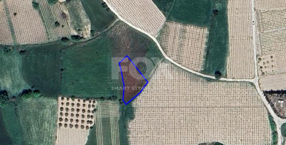 Land For Sale In Polemi Paphos Cyprus