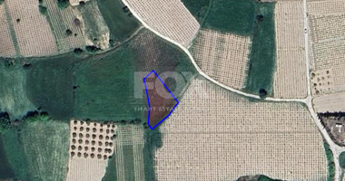 Land For Sale In Polemi Paphos Cyprus