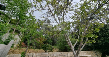 3 Bed House For Sale In Pano Platres Limassol Cyprus