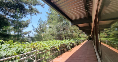 BARGAIN - PRICE REDUCTION : 6 Bed House For Sale In Moniatis Limassol Cyprus