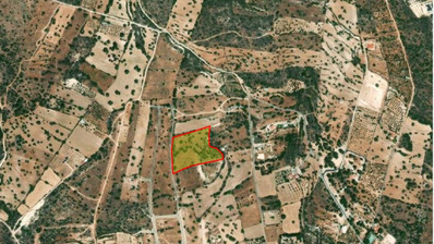 Land For Sale In Souni Zanakia Limassol Cyprus
