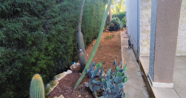 2 Bed House To Rent In Agios Tychon with swimming pool, Limassol Cyprus