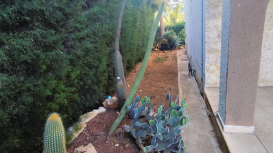 2 Bed House To Rent In Agios Tychon with swimming pool, Limassol Cyprus