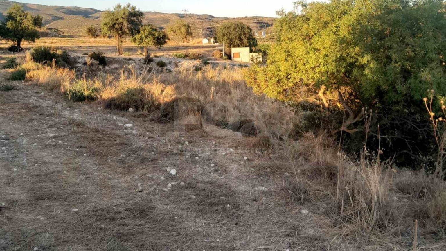 Land To Rent In Kissousa Limassol Cyprus
