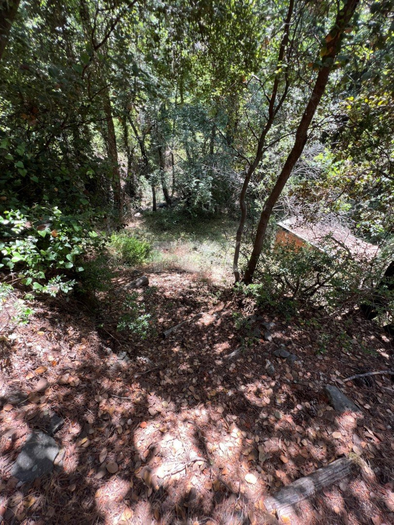 Land For Sale In Pano Platres Limassol Cyprus