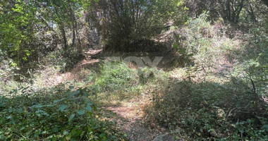 Land For Sale In Pano Platres Limassol Cyprus