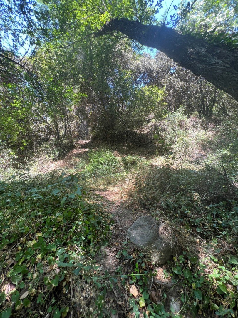 Atterrir  Pano Platres, Chypre