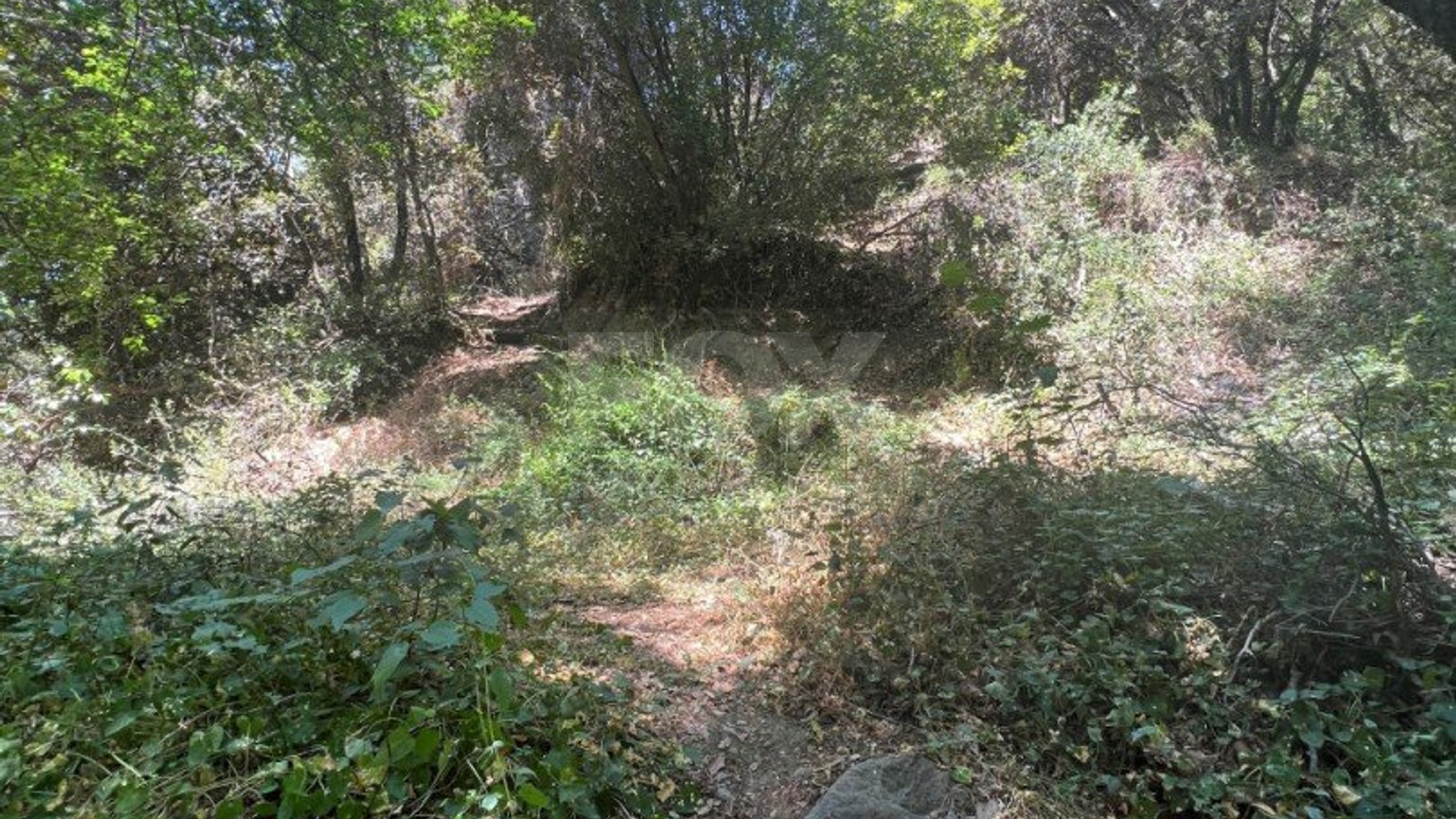 Land For Sale In Pano Platres Limassol Cyprus