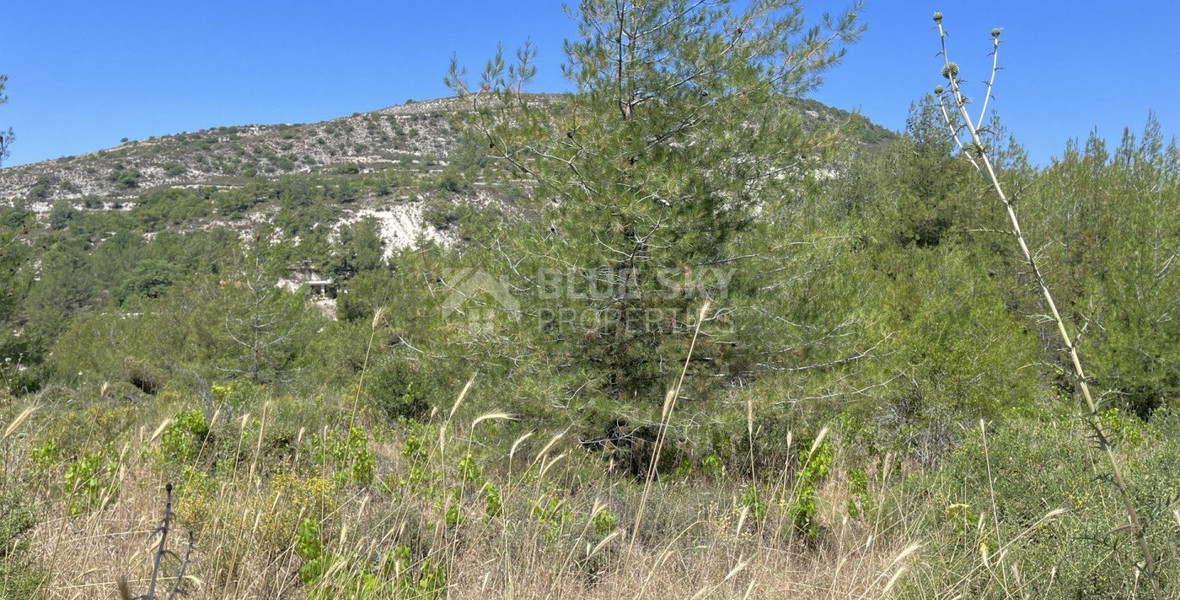 Land For Sale In Pera Pedi Limassol Cyprus