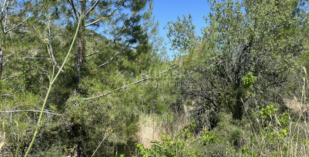 Land For Sale In Pera Pedi Limassol Cyprus