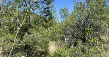 Land For Sale In Pera Pedi Limassol Cyprus