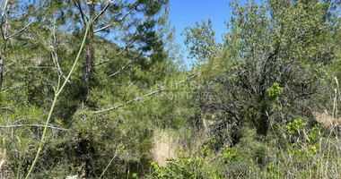 Land For Sale In Pera Pedi Limassol Cyprus