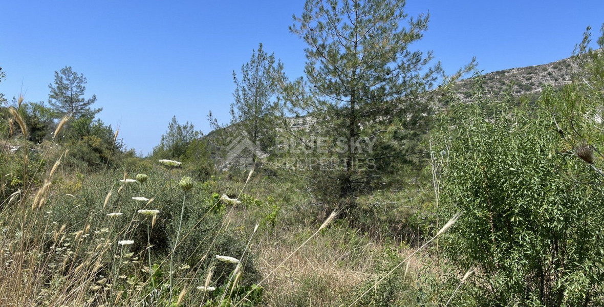 Land For Sale In Pera Pedi Limassol Cyprus