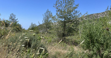 Land For Sale In Pera Pedi Limassol Cyprus